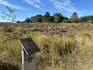 Kunststele Paum Weymar Kunststele Paum Weymar