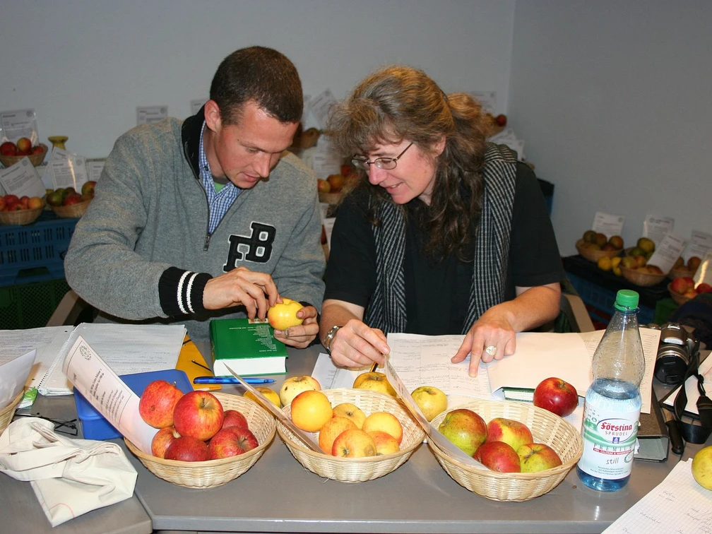 Obstsortenbestimmungsseminar