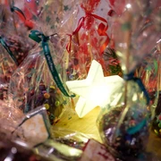 Festliche Plätzchen in bunten Tütchen, umrahmt von leuchtendem Stern, schaffen weihnachtliche Atmosphäre.
