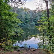 Blick auf den Sebbelsee