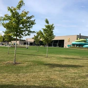 Ein modernes Freizeitbad mit großer grüner Liegewiese und blauer Rutsche im Hintergrund.
