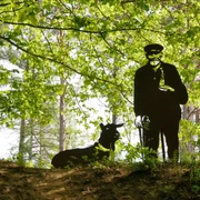 Schäferskulptur im Holweg Eine dunkle Schäferskulptur steht neben einem Schäferhund im lichten Wald unter grünem Blätterdach.