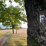 Freudenthalweg-Haverbeeke.jpg