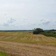 Landschaft nahe Ratingen-Homberg Weites Feld mit sanften Erhebungen unter blauem Himmel, gesäumt von Bäumen am Horizont.