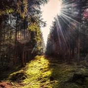 Dippoldiswalder Heide