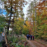 Eisenberg-Steig im Herbst