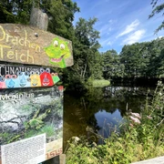 Drachenteich.jpg Holztafel mit Drache und Infos vor einem Teich, umgeben von üppigem Grün und wildem Bewuchs.