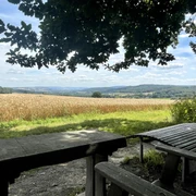IMG_2914.jpg Holztisch und -bank unter einem Baum mit Blick auf ein goldenes Weizenfeld und hügelige Landschaft.