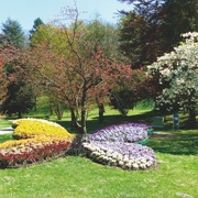 Schmetterling im Kurpark