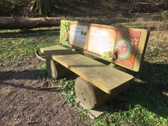 Wer kratzt denn da? Holzbank in Waldumgebung mit Infotafel über Wildtiere und mit Holzstämmen als Stützen.