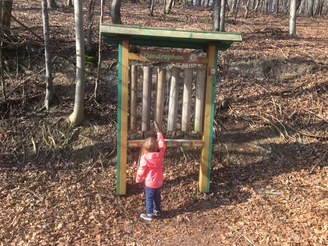 Dendrophon  Ein Kind spielt im Wald mit einem großen, stehenden Xylophon aus Holzstämmen, dem "Dendrophon".