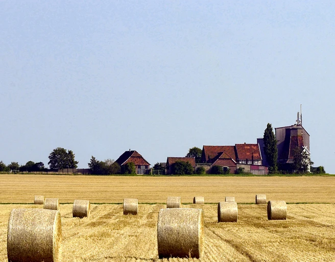 Metzingsche Mühle Peine Stederdorf (1).jpg