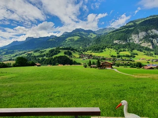 Aussicht im Sommer
