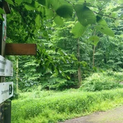 unterwegs am Wandern im Salzufler Stadtwald unterwegs am Wandern im Salzufler Stadtwald