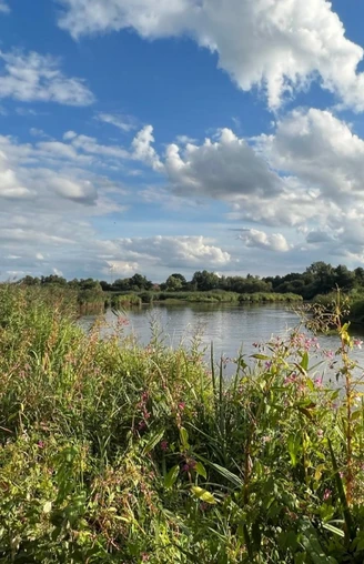 Herbst an der Wümme