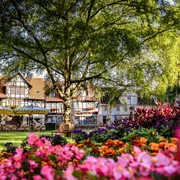 Kurpark Weinreihe Kurpark