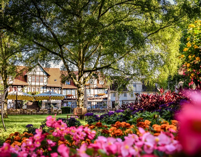 Kurpark Weinreihe Kurpark