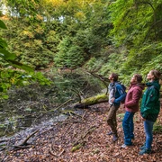 Nasser Wolkenbruch Trendelburg