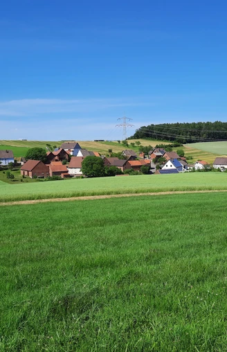 Blick auf Henkenbrink Grünes Hügelland bei Henkenbrink mit verstreuten Häusern, blühenden Feldern und einem Wald am Horizont.
