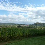 Blick von Weingartenkapelle auf Naumburg