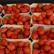 Hofladen Birken Frische, leuchtend rote Erdbeeren in kleinen Pappkörben auf einem Marktstand angeordnet.