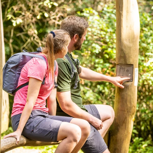Ein Wanderpaar sitzt auf einem Holzgeländer im Teutoburger Wald und betrachtet eine Informationstafel.