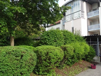 Zugang zum Haus