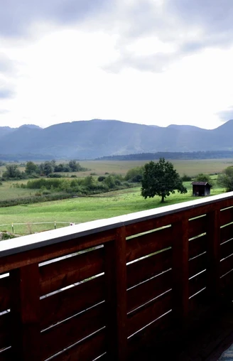 6F6456A9-611C-48D2-B43F-37FAC2E75441