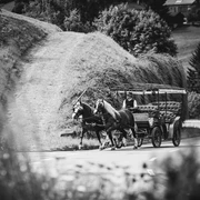 Kutschfahrt ins romantische Tonbachtal