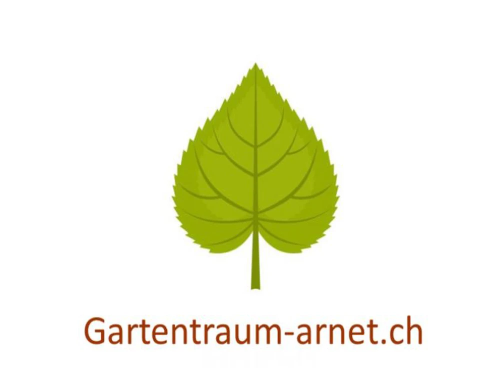 logo arnet gross.jpg