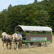 Fuhrhalterei Arche-Hof Kellerwald