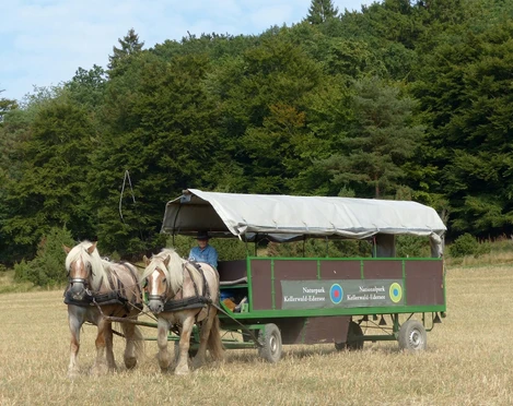 Fuhrhalterei Arche-Hof Kellerwald