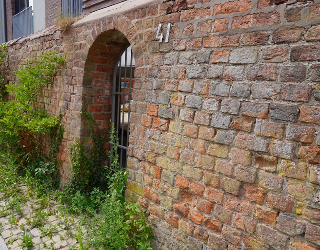 Alte Stadtmauer Verden Alte Backsteinmauer mit Torbogen und Hausnummer 41, überwuchert von Grünpflanzen an einem gepflasterten Weg.