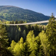 Goms Bridge (9).jpg
