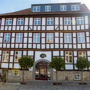 Brauner Hirsch in Osterwieck