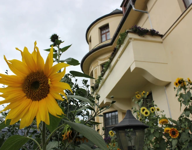 Pension Vogtländer Plauen