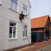 Ehem. Gerberei Fischerviertel Verden Weiße Fassade einer ehemaligen Gerberei im Fischerviertel Verden, mit Bullenkopf an der Wand.