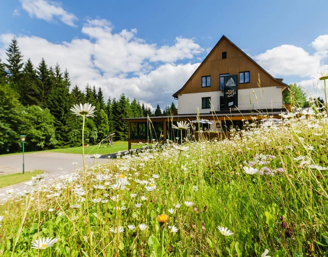 Waldhotel Vogtland Sommer