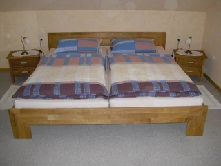 Haus Elfriede Fewo SZ