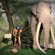 Museum Domherrenhaus Ein prähistorischer Mensch steht mit Speer neben einem beeindruckend nachgebildeten Mammut im Museum.