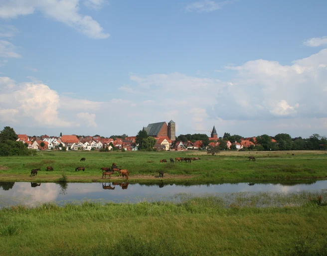Ein Blick auf die Reiterstadt Verden Ein Blick auf die Reiterstadt Verden