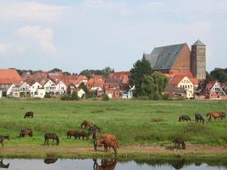 Ein Besuch in der Reiterstadt Verden Ein Besuch in der Reiterstadt Verden