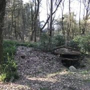 Hundewelle Börger ©Naturpark Hümmling.JPG