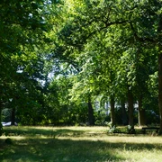 Bürgerpark Verden Ein sonnendurchfluteter Park mit hohen Bäumen, die Schatten spenden, und einer Wiese zum Verweilen.