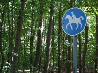 Stadtwald Verden Das Bild zeigt ein Reitwegschild in einem dichten, grünen Stadtwald mit hohen Bäumen bei Verden.