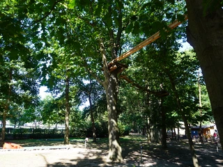 Kletterpark Verden Ein Hochseilgarten in einem bewaldeten Areal, mit hölzernen Plattformen und Seilbrücken zwischen den Bäumen.