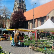 Wochenmarkt am Südermarkt