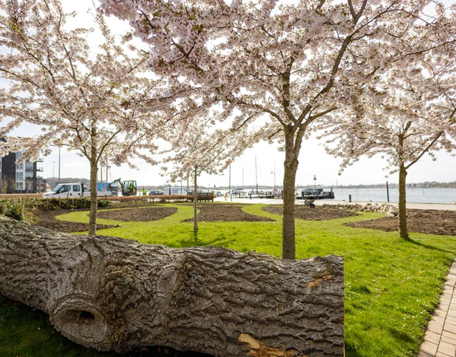 Forår-i-Formidlingshaven-i-Gråsten