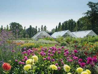 Den-kongelig-køkkenhave-Gråsten