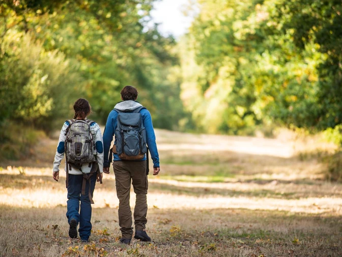 Wandern im Naturpark Reinhardswald